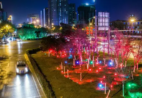 南充市政亮化香蕉视频软件制作施工安装